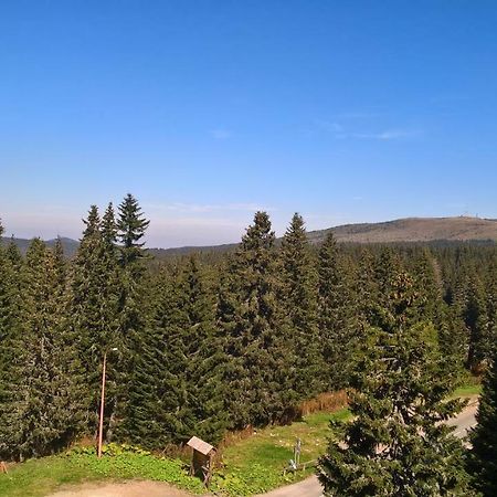 Apartman-Vila Nikola, 064Jedansedamdvatridevetnulatri Kopaonik Exteriér fotografie